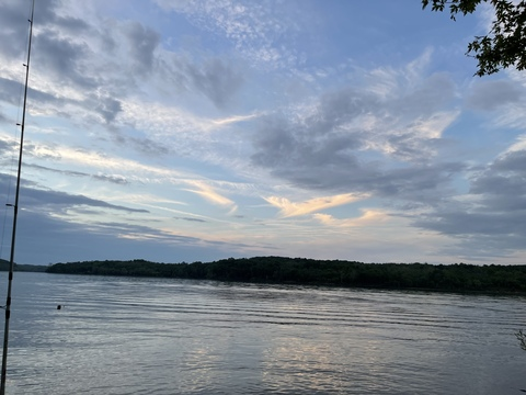 bug2020 onlyfans leaked picture 1