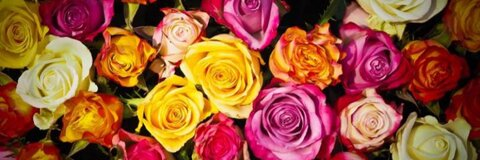 imthequeen7 onlyfans leaked picture 1