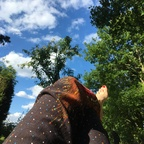 lieselotte onlyfans leaked picture 1