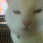 pussy onlyfans leaked picture 1
