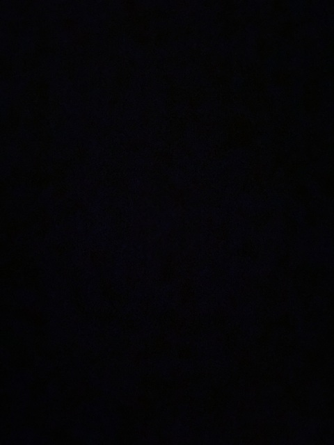 shelbyann onlyfans leaked picture 1