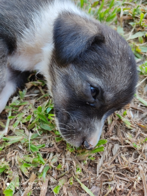 tu_malcriada onlyfans leaked picture 2