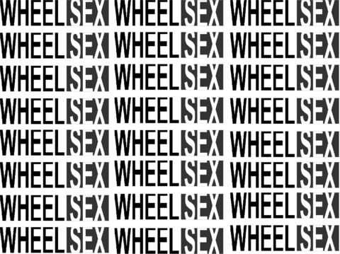 wheelsex onlyfans leaked picture 1